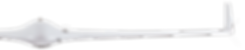 bramor_ppx1.png