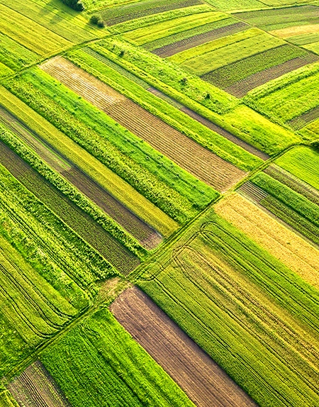solutions-agricultura.webp