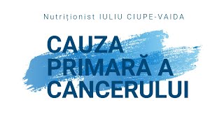 n5fkzVLUCH0.jpg
