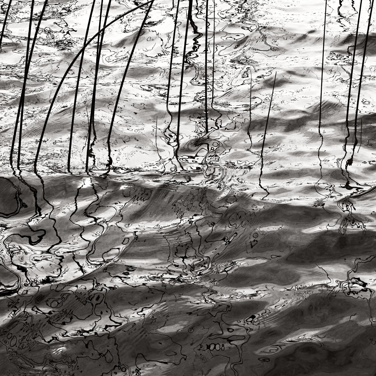 Water Grass Study #3