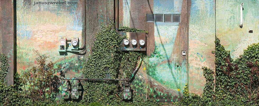 Urban Nature #2