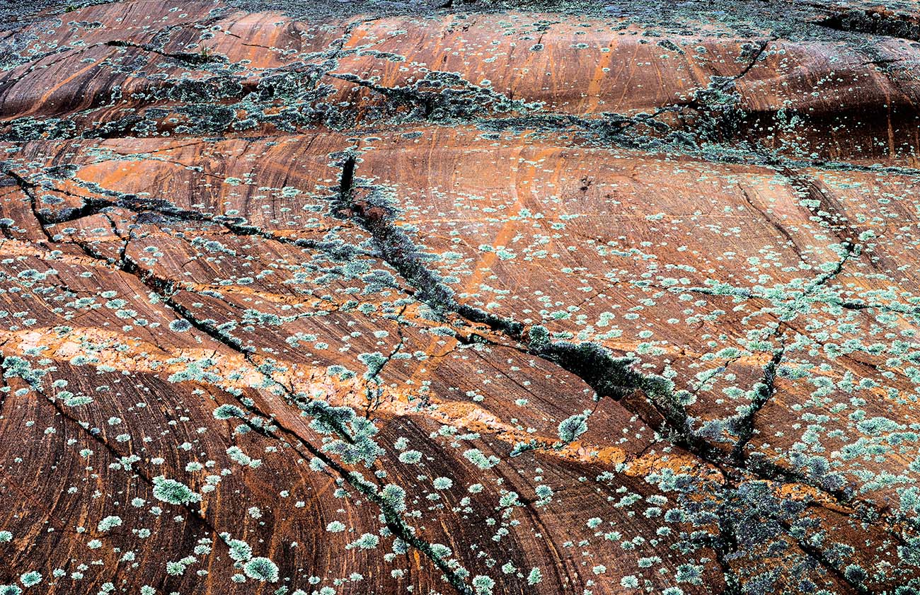 Shield Topography #1