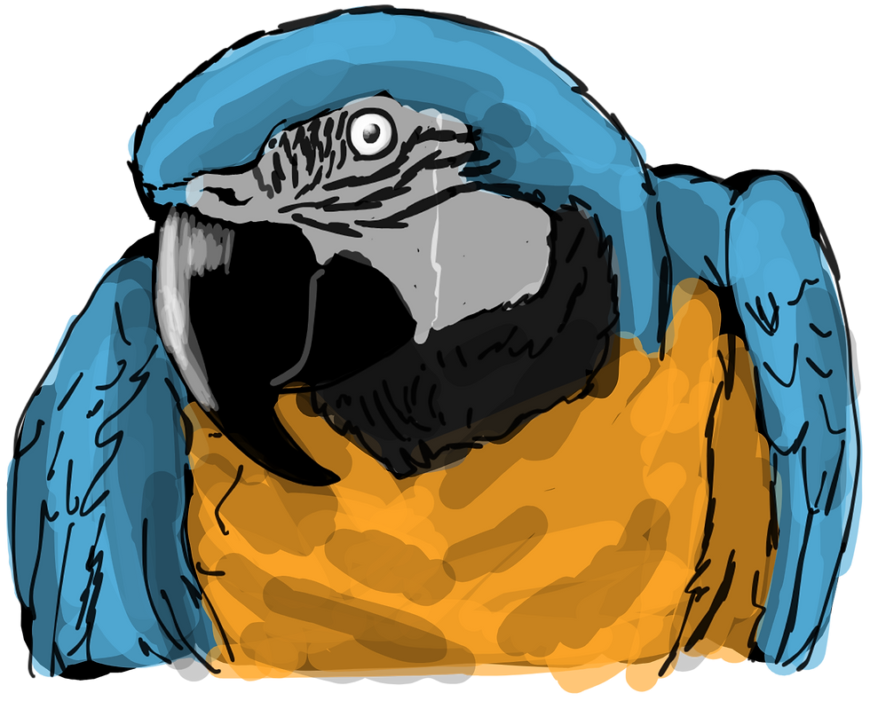 Guacamayo Azul.png