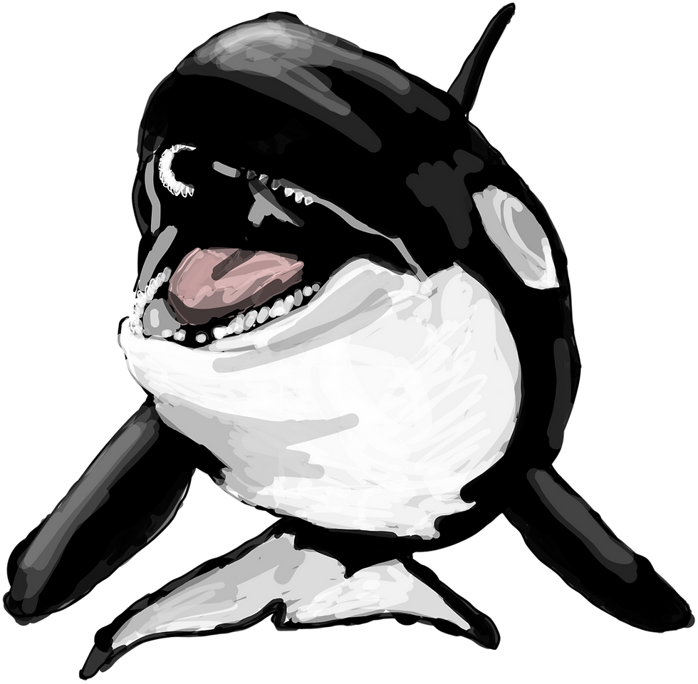 Orca 4.png