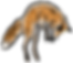 Zorro Hop.png
