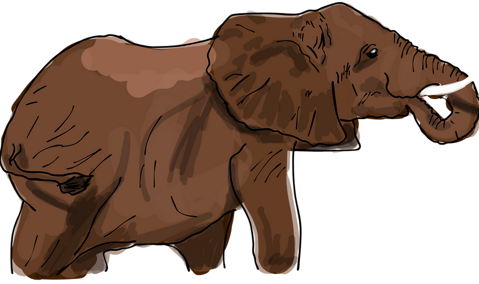 Elefante.png