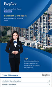 propnex property analysis report
