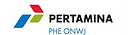 Logo PHE ONWJ 2023.png