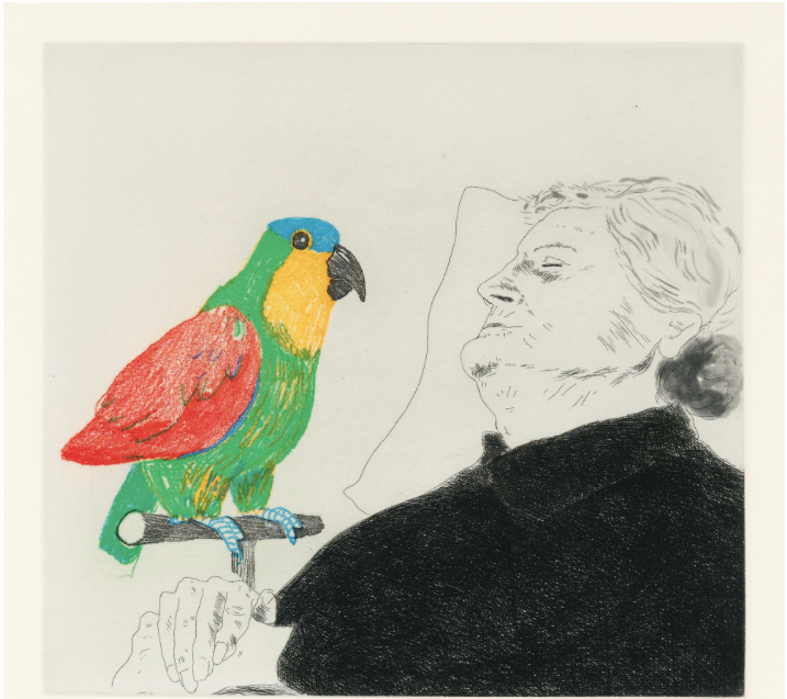 David Hockney (1937-). Félicité sleeping with Parrot. 1974. Eau-forte signée.