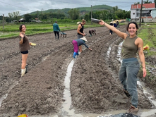 Foreigners experience rural culture in Vietnam by herding cattle, teaching English