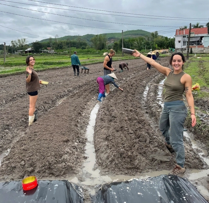 Foreign tourists and local residents transplant rice seedlings at Tran Thanh Ha's farm in Da Nang, Vietnam. central Photo courtesy of Ha