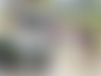 ■田植え体験(5年生)