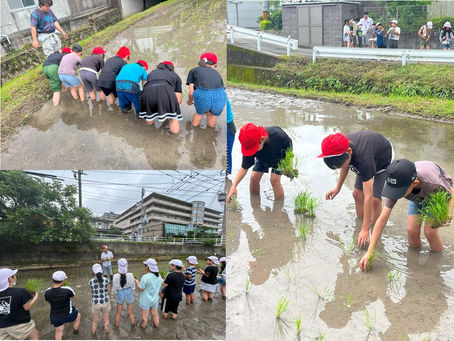 ■田植え体験(5年生)