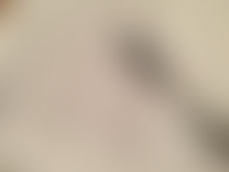 We Are Trying Something New!