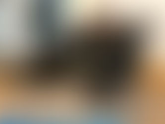 I love my kitty but she is a strange little girl.