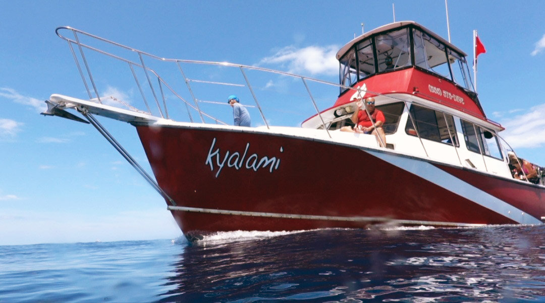 Jupiter Kyalami Boat Dive The Dive Place