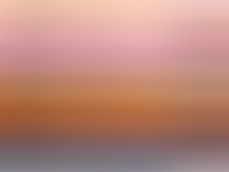 Let's Be (e.l.f.)ing for Real: How e.l.f. proved transparency is priceless