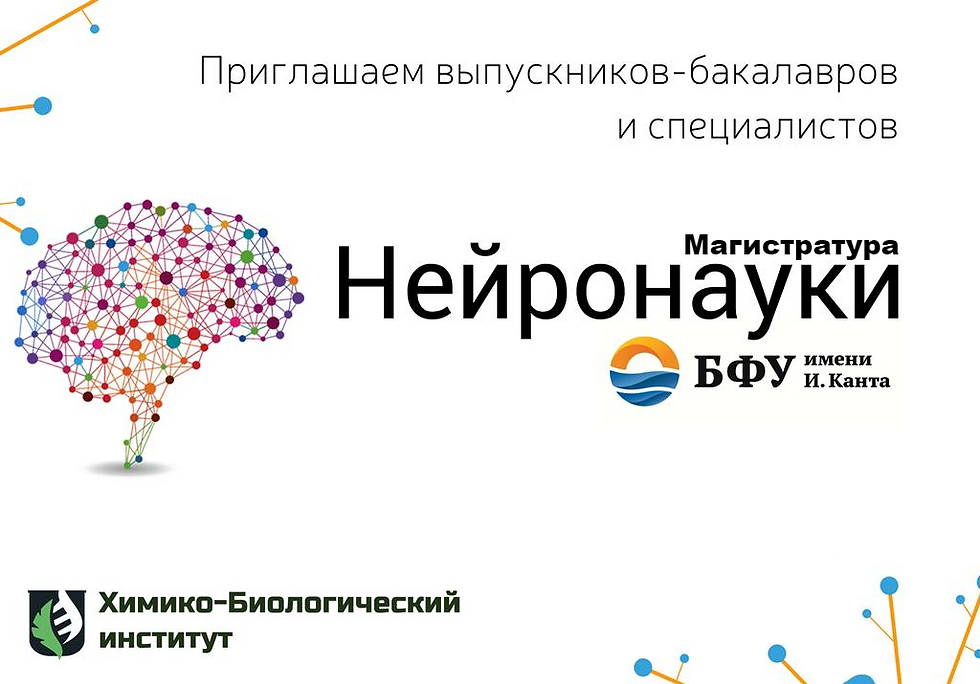 Магистратура