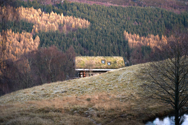 Eagle Brae luxury log cabin grass roof amber autumn forest Scottish Highlands architecture landscape photography Alanoud Radaideh Anoud Radaideh