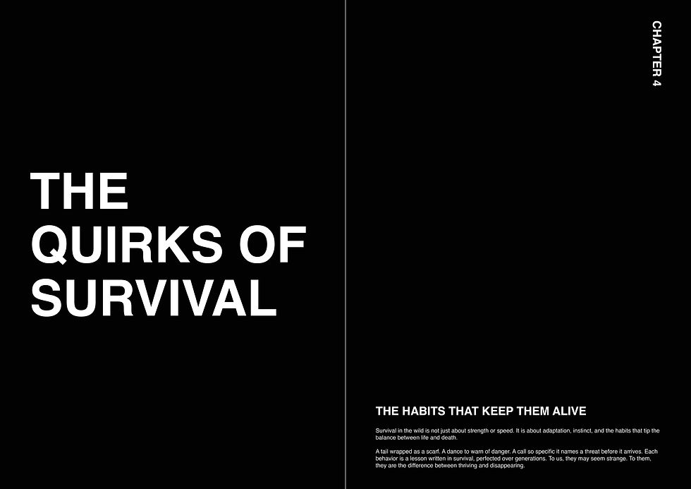 Thumbnail: OUR EQUALS: Limited Edition Photography Book