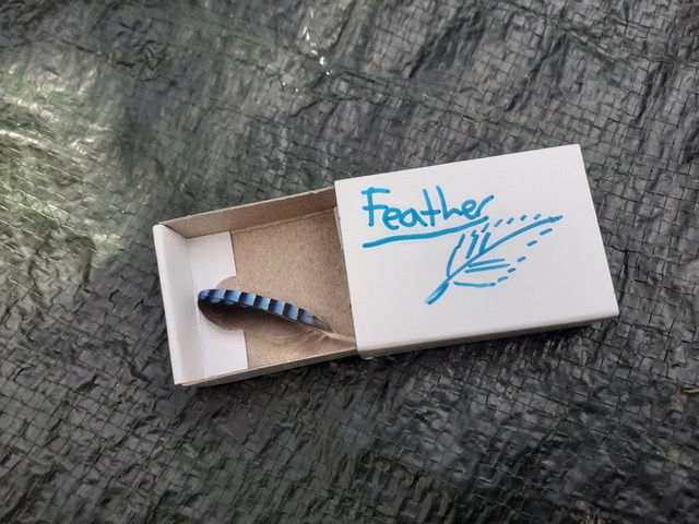 feather in a box