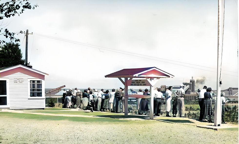Quarry View, 1950