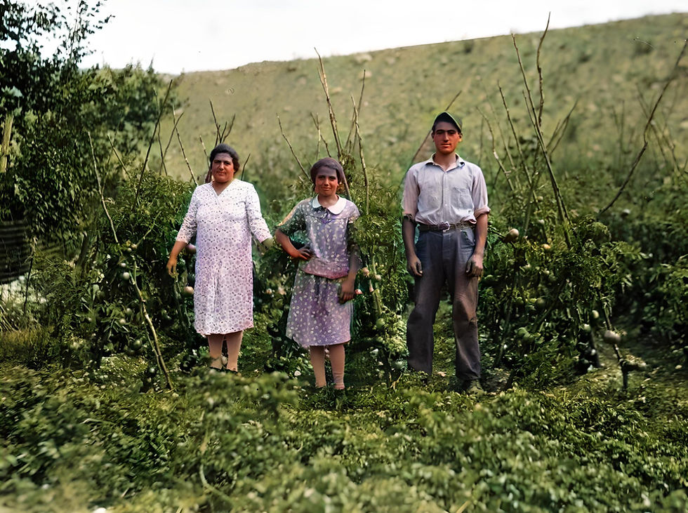 Matilda, Angeline and Andrew Santini, 1933