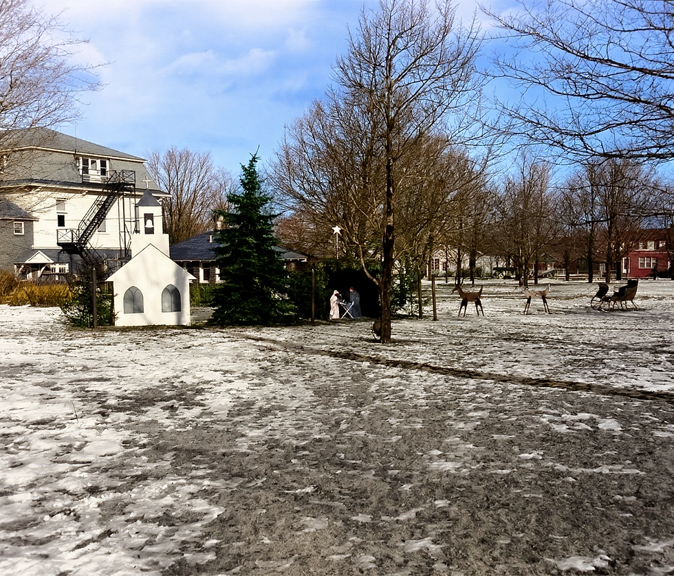 The grounds of the Presque Isle County Courthouse were decorated for Christmas with a Nativity scene, along with Santa Claus and his reindeer, 1952