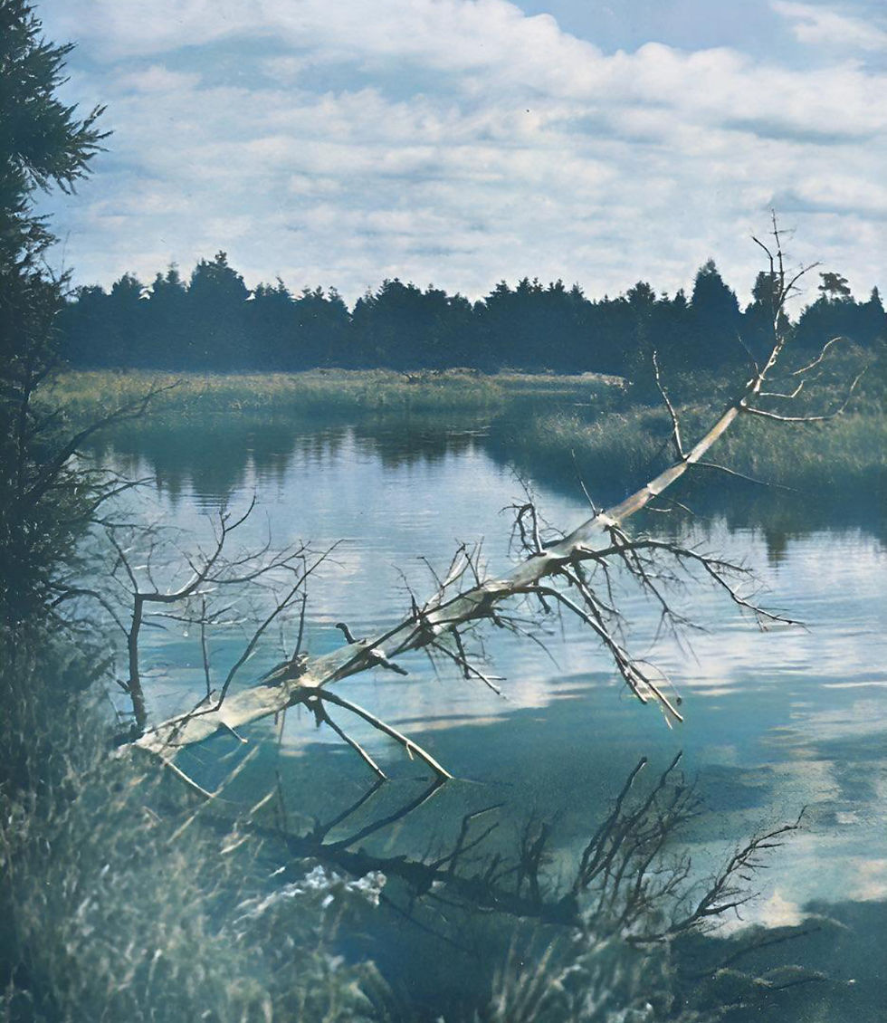 Mouth of the Swan River, 1950