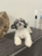 941743833269_.pic
