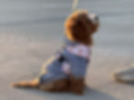 151743065211_.pic