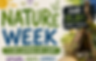 Nature Week-3 day art Camp