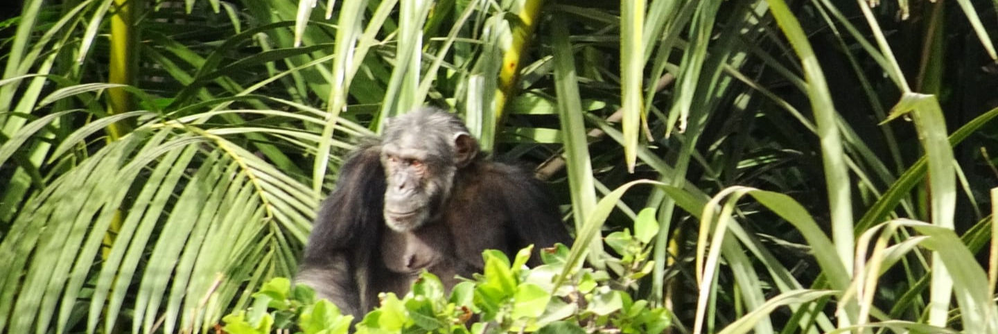 WhatsApp Image 2026-03-15 at 18.20_edite