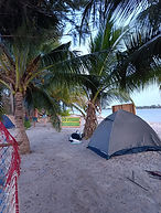 WhatsApp Image 2026-03-05 at 17.00.00 (1).jpeg