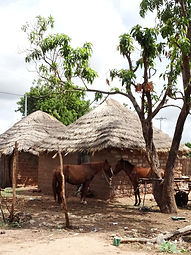 WhatsApp Image 2026-03-05 at 16.54.44.jpeg