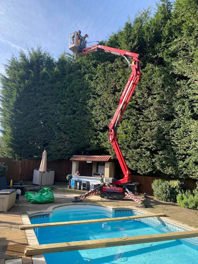A Seasonal Guide to Hedge Trimming, What to Cut and When