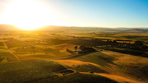 10 WILD FACTS ABOUT WASHINGTON STATE WINE