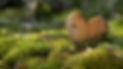 AdobeStock_855690762-min.jpeg