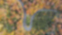 AdobeStock_661646890.jpeg
