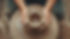 AdobeStock_1398322977.jpeg