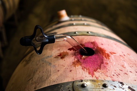Zinfandelbarrel_PasoRobles_(c)CaliforniaWineInstitute.jpg