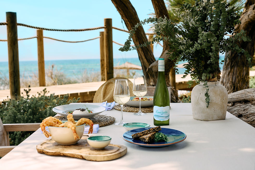 Viña Esmeralda: A Mediterranean Jewel with Taste, Style and Purpose