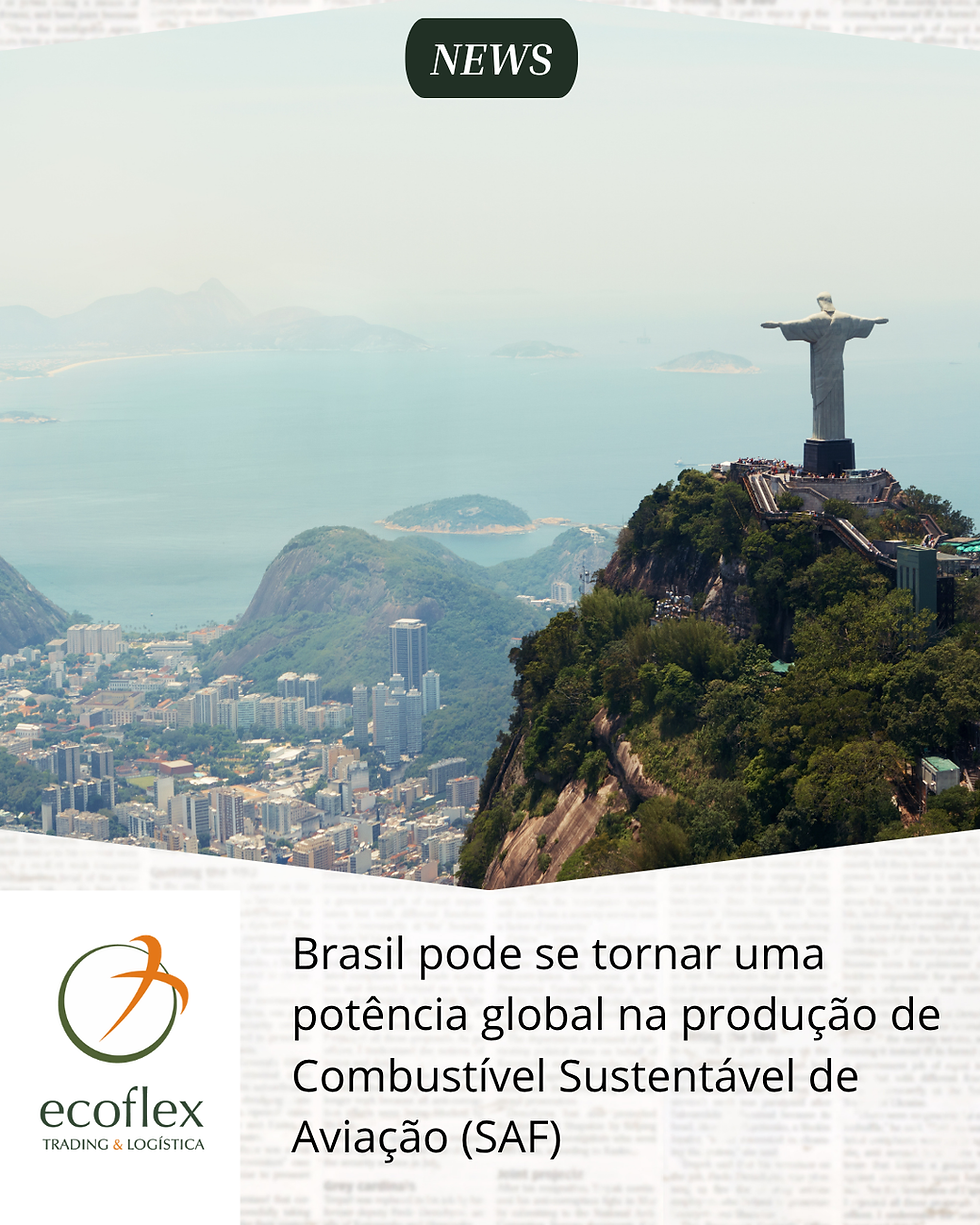 Brasil pode se tornar uma potência global na produção de Combustível Sustentável de Aviação (SAF)