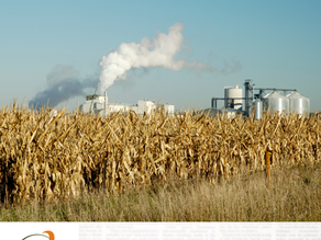 Produção de etanol sobe no Norte e Nordeste mesmo com recuo na moagem