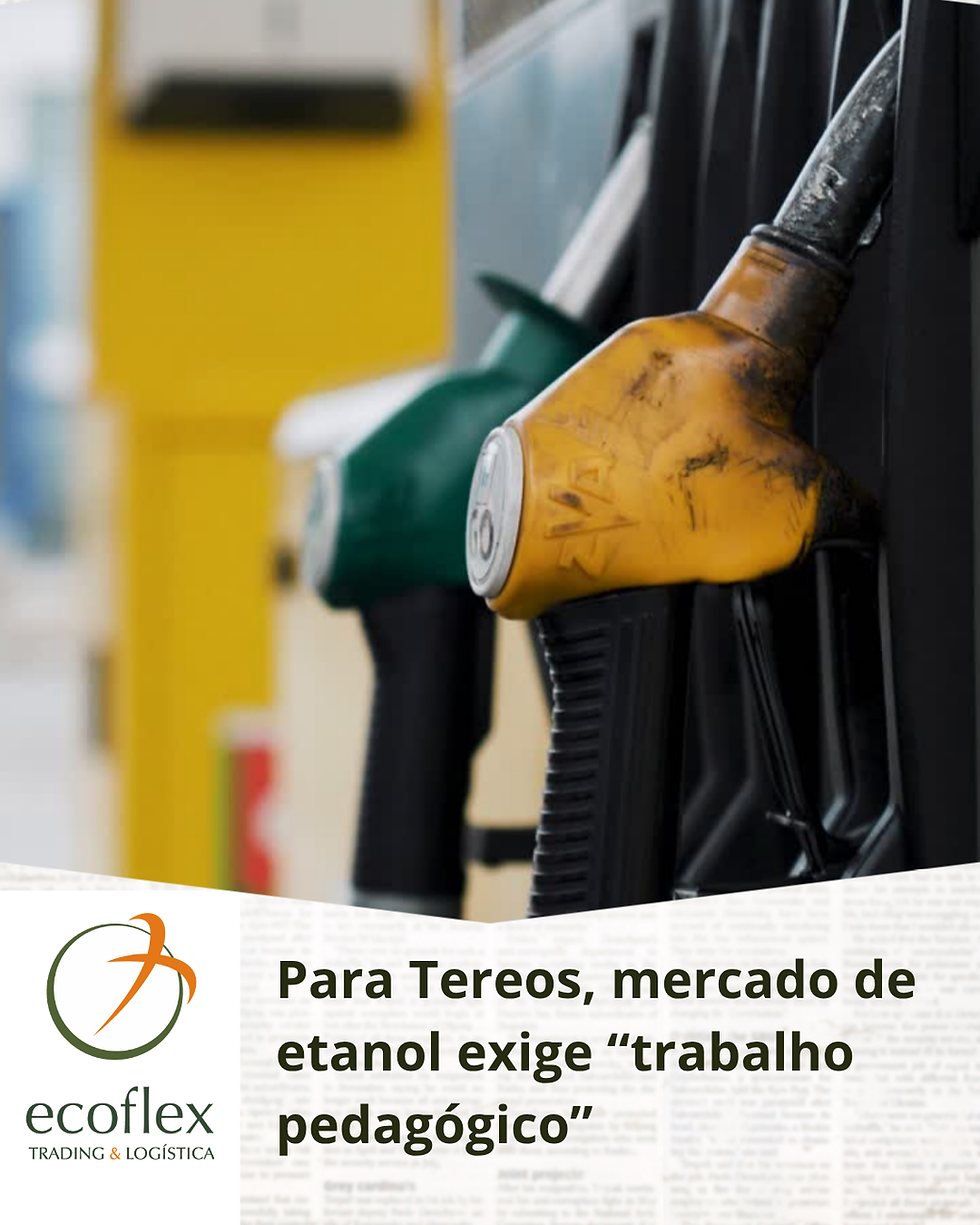 Fonte: Canva