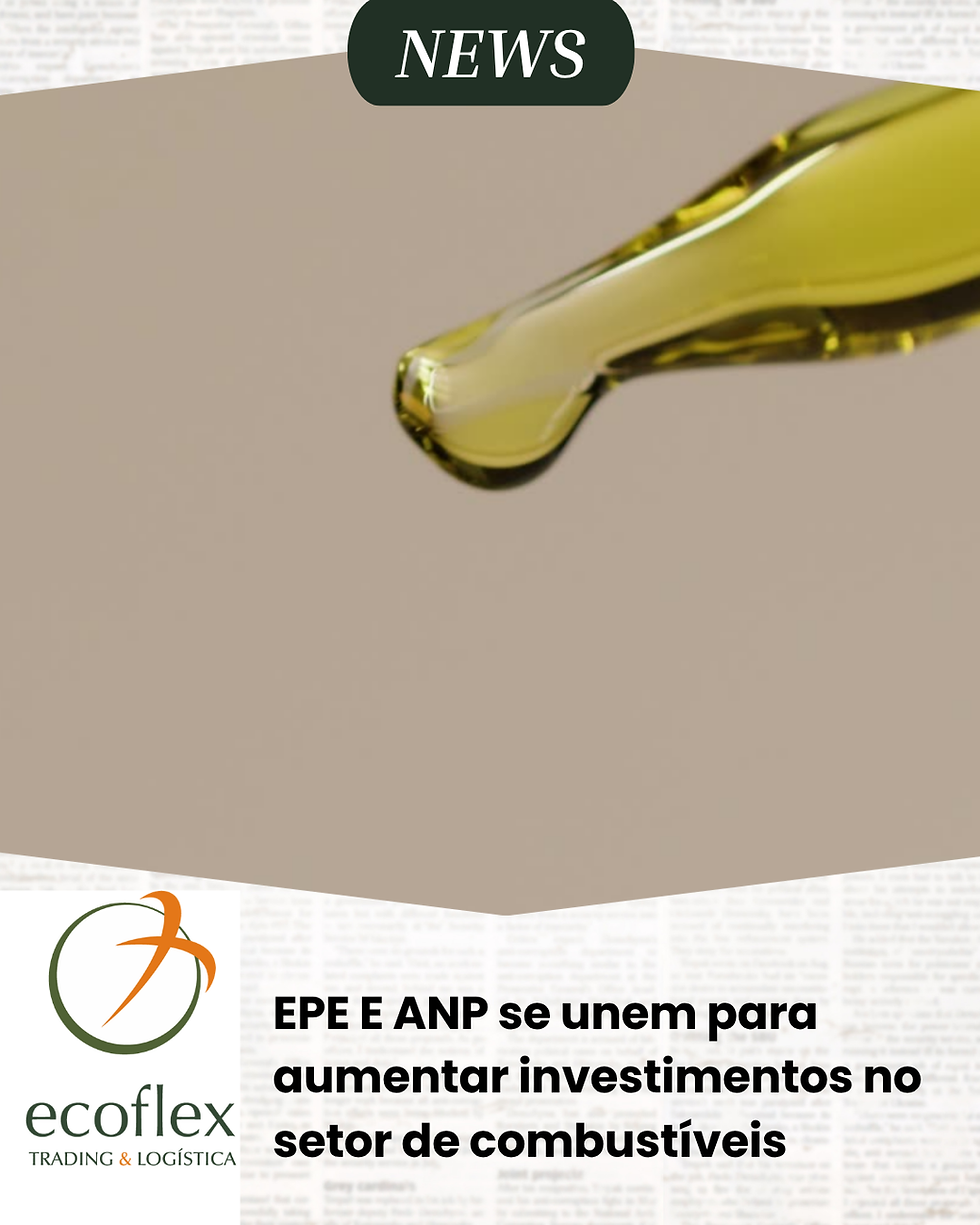 Fonte: Canva