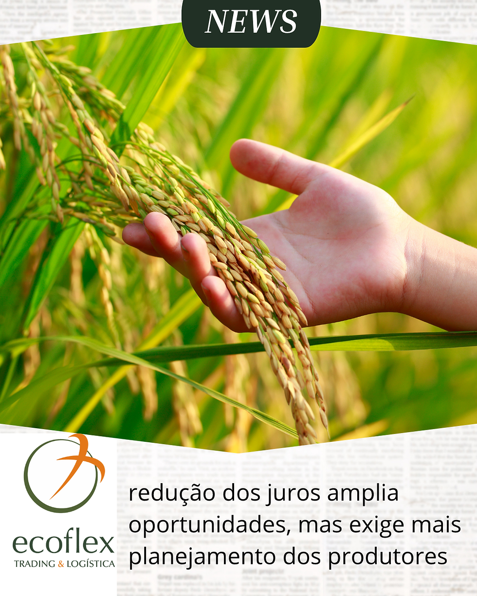 Fonte: Canva