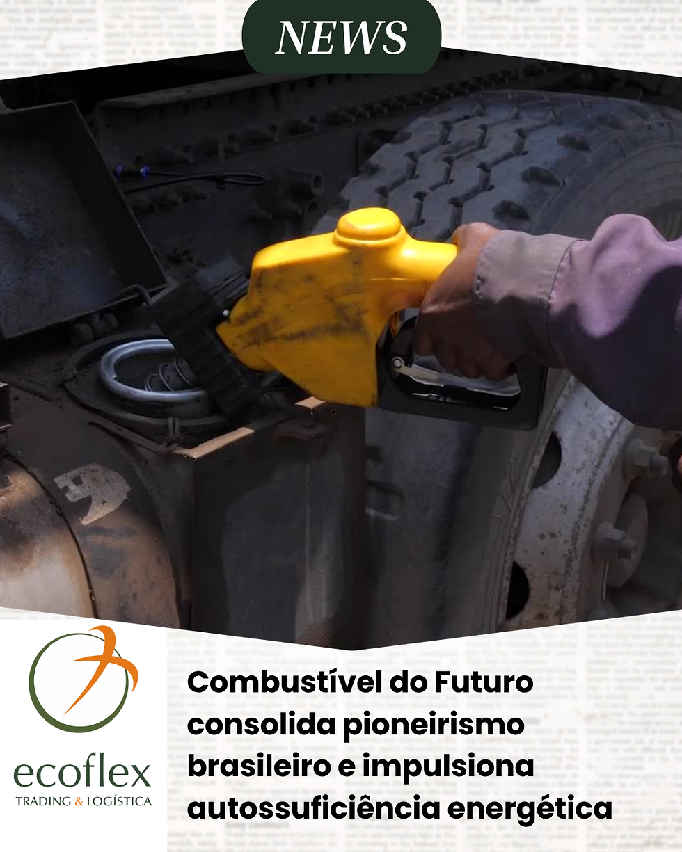 Fonte: Canva