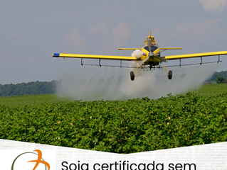 Soja certificada sem desmatamento abastecerá aviões