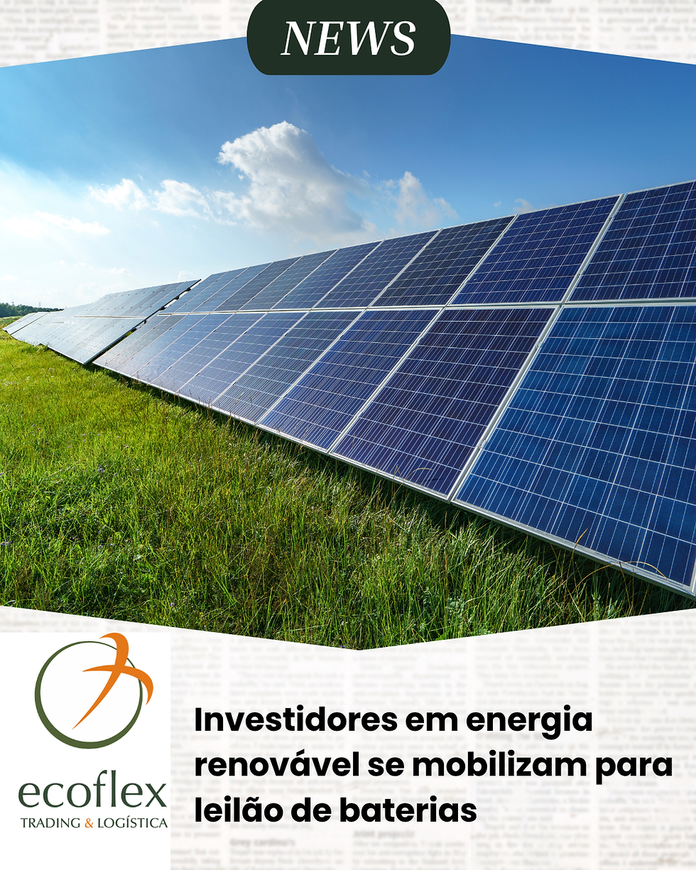 Investidores em energia renovável se mobilizam para leilão de baterias